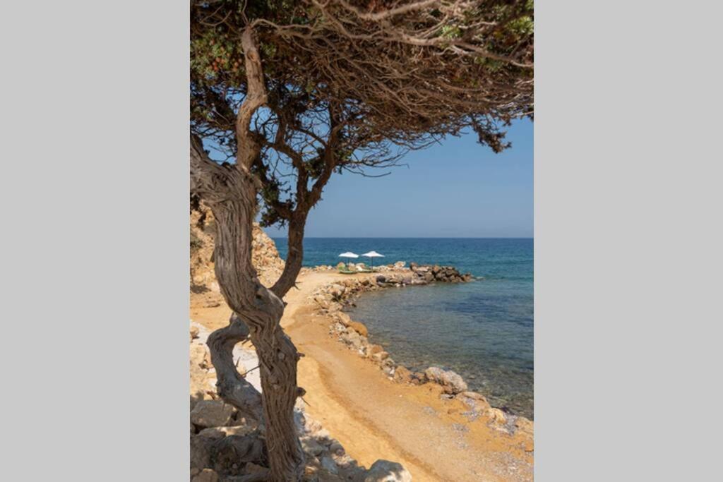 Ktima Sfakia Villa Кефалос Екстериор снимка